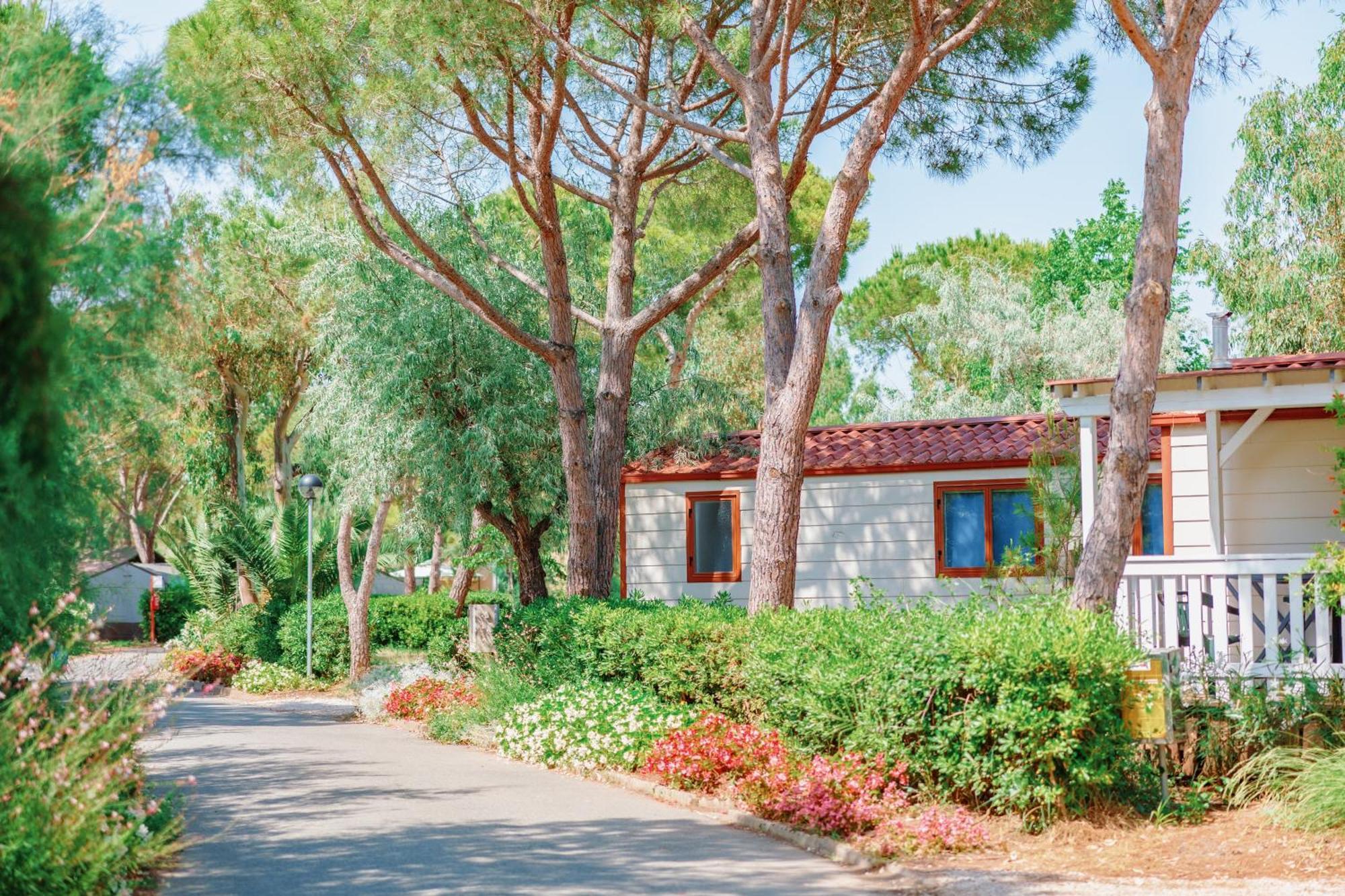 Toscana Bella Camping Village Vada Dış mekan fotoğraf