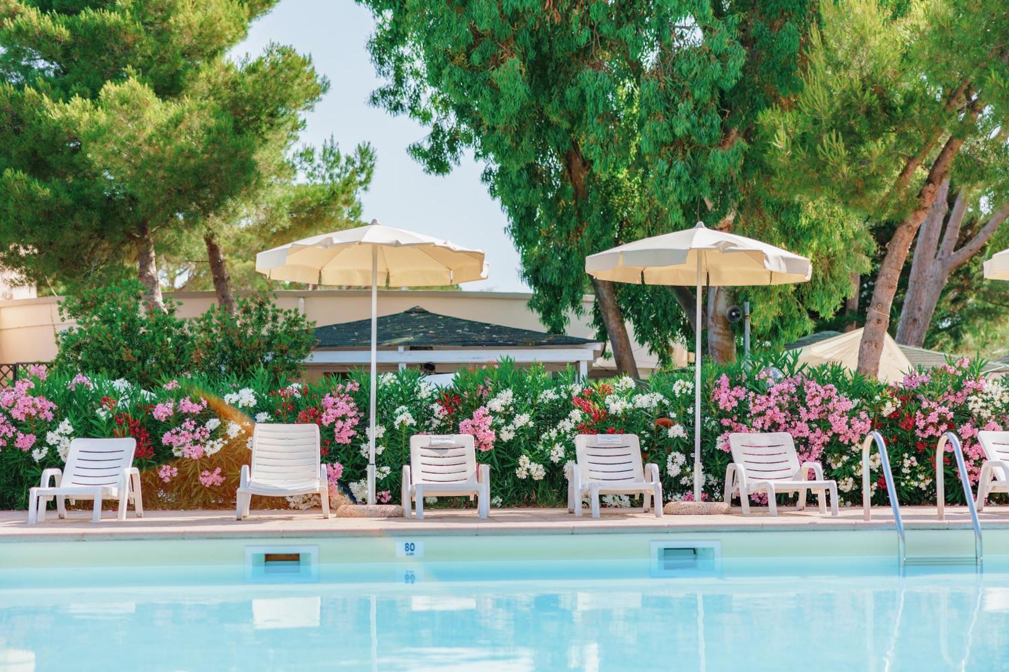 Toscana Bella Camping Village Vada Dış mekan fotoğraf