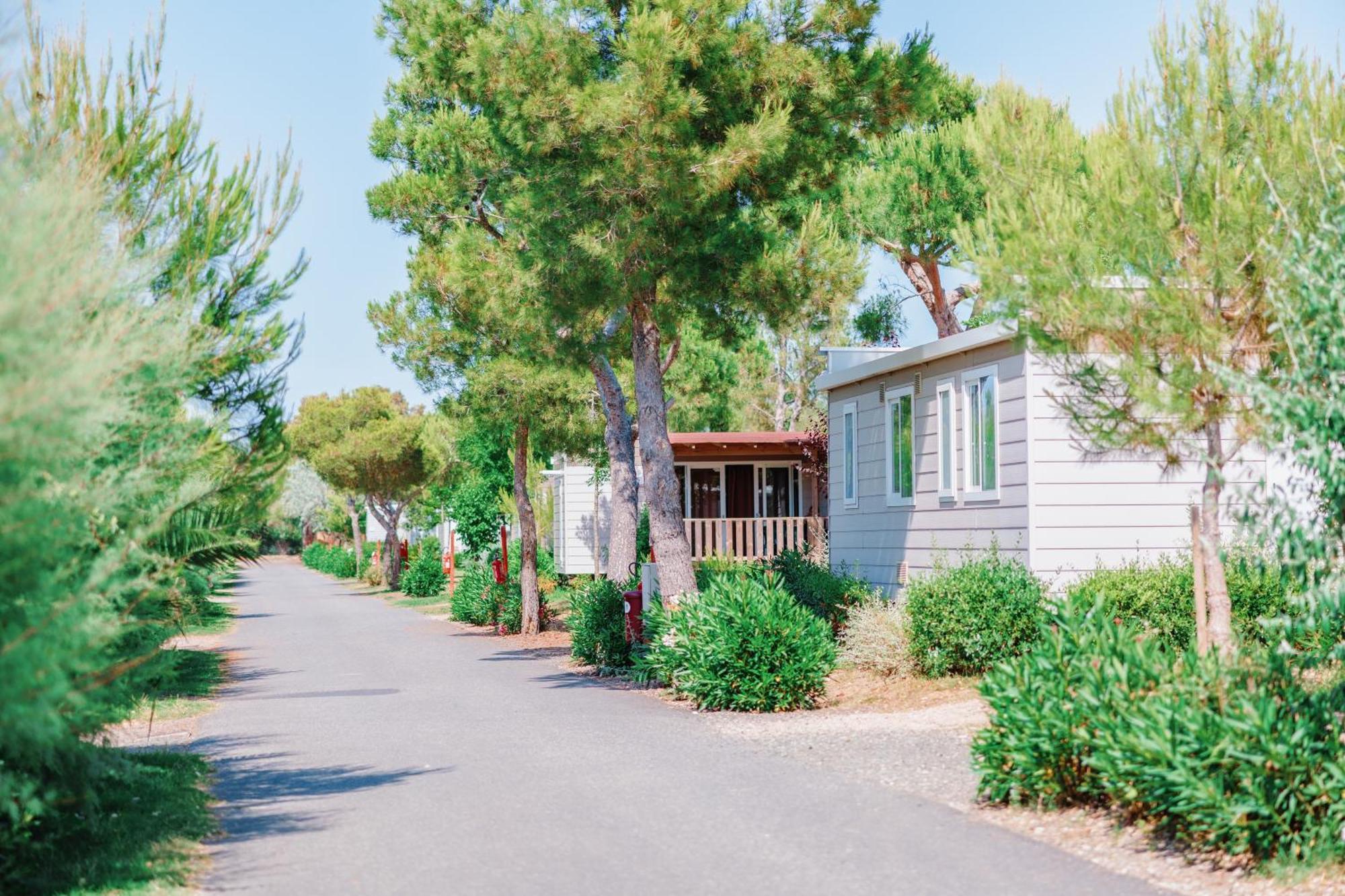 Toscana Bella Camping Village Vada Dış mekan fotoğraf