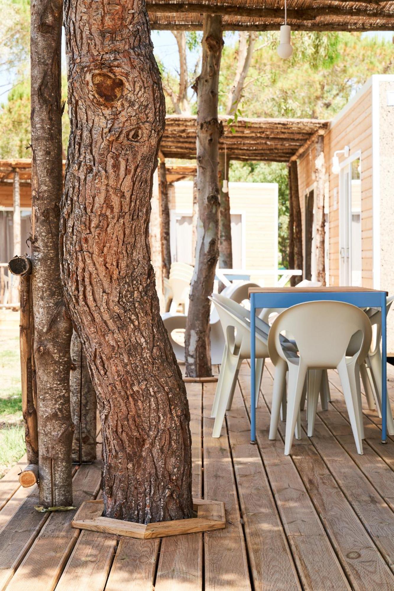 Toscana Bella Camping Village Vada Dış mekan fotoğraf
