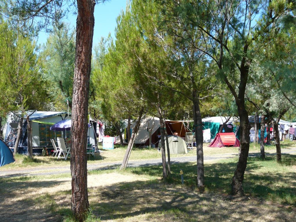 Toscana Bella Camping Village Vada Dış mekan fotoğraf